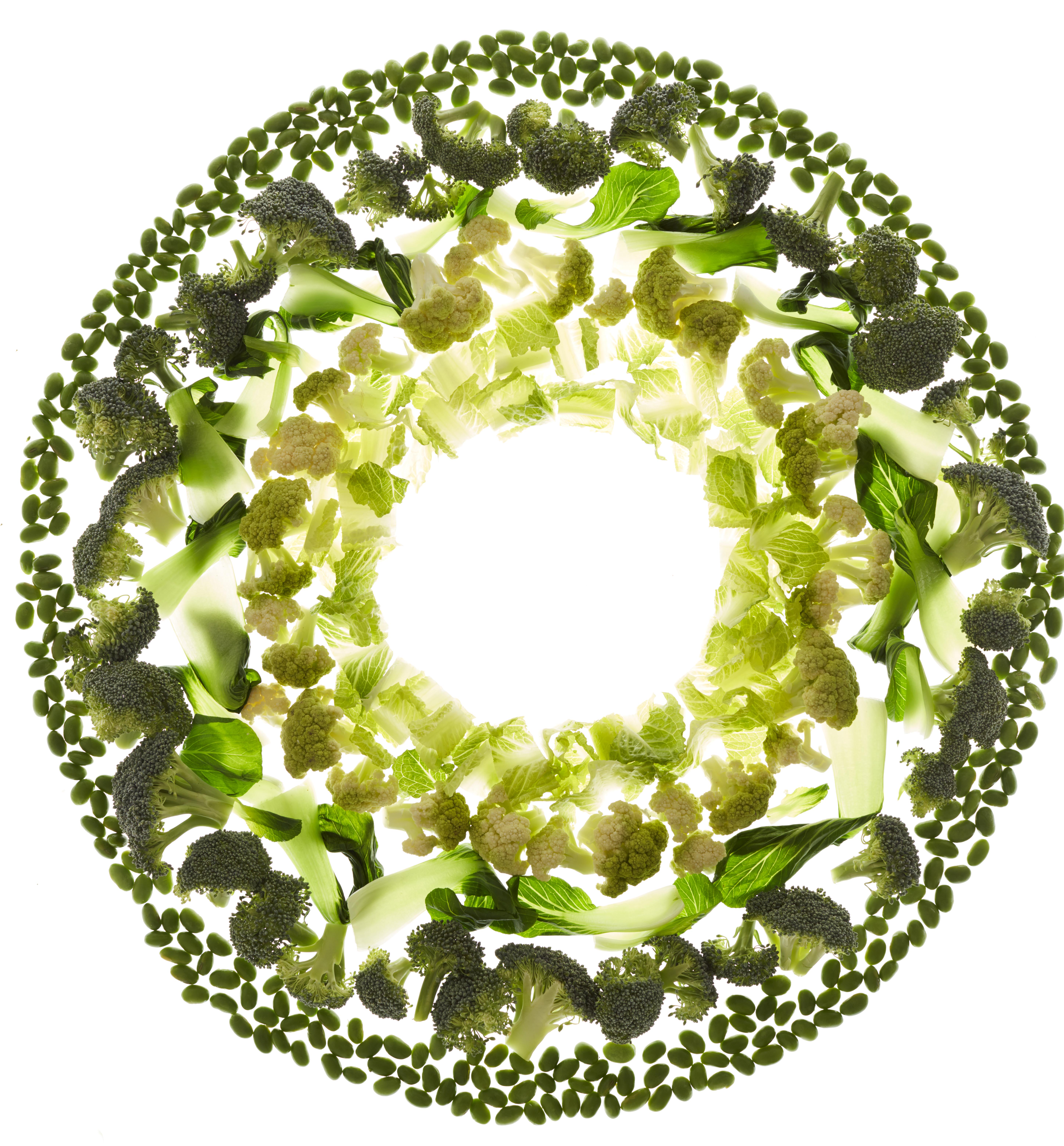 circle