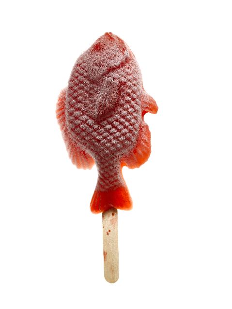 fishpopsicle